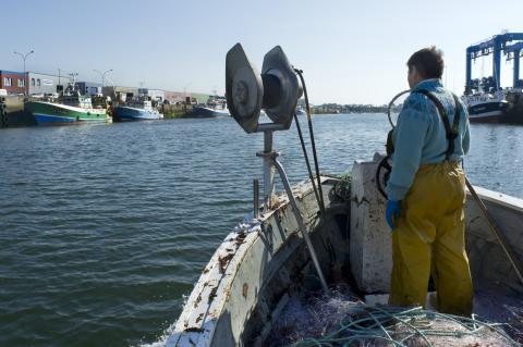 Navire de pêche rentrant au port